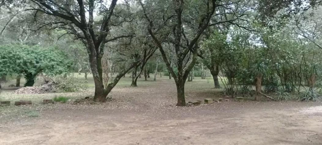 Tente Safari Au Pont Du Gard 베르 퐁 뒤 가르 외부 사진